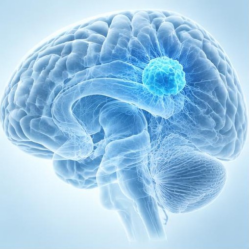 Neuroonkologie